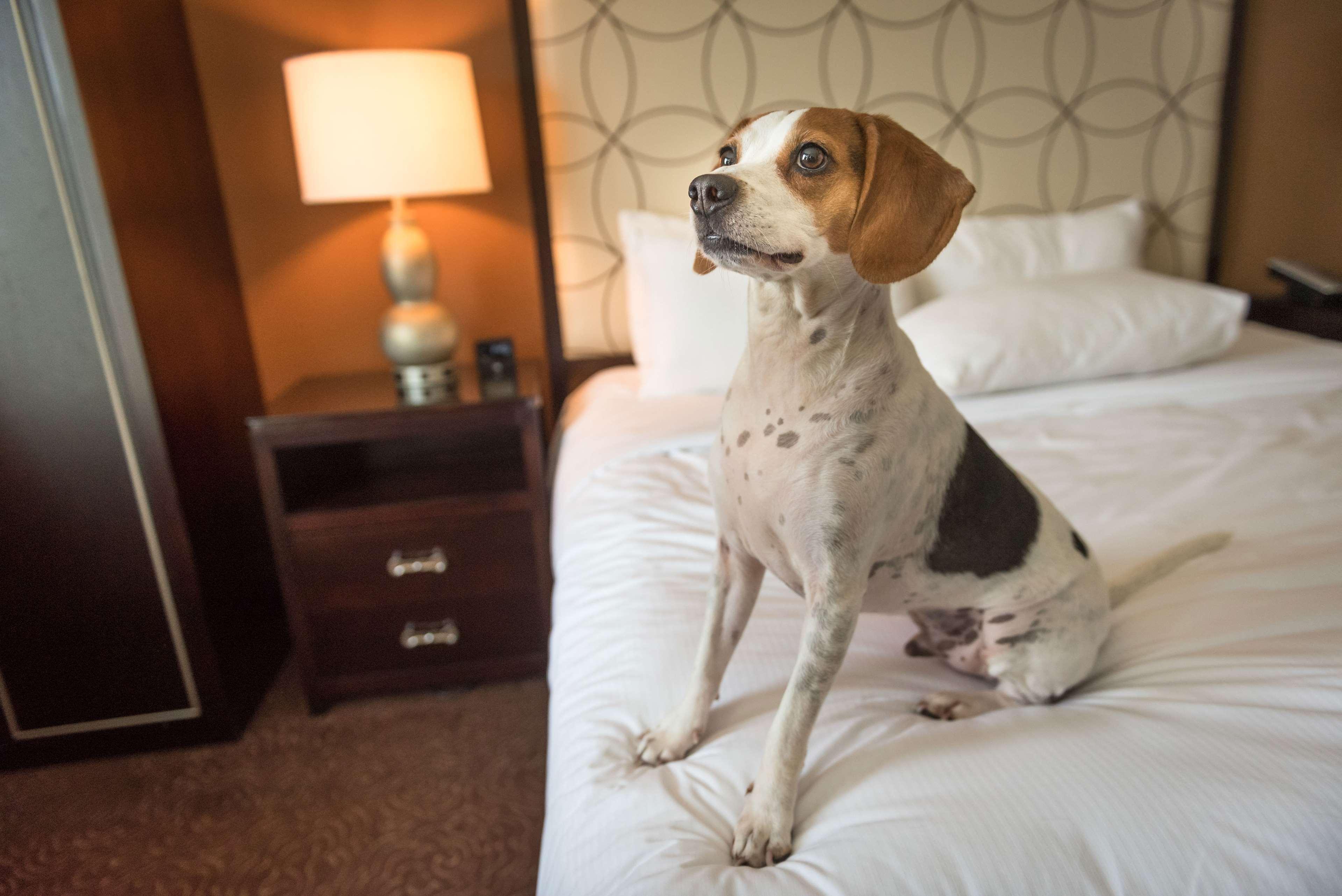 Hilton Baton Rouge Capitol Center Hotell Eksteriør bilde